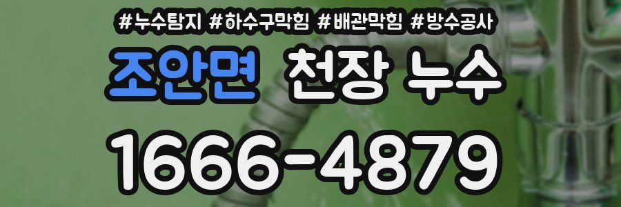 조안면 천장 누수