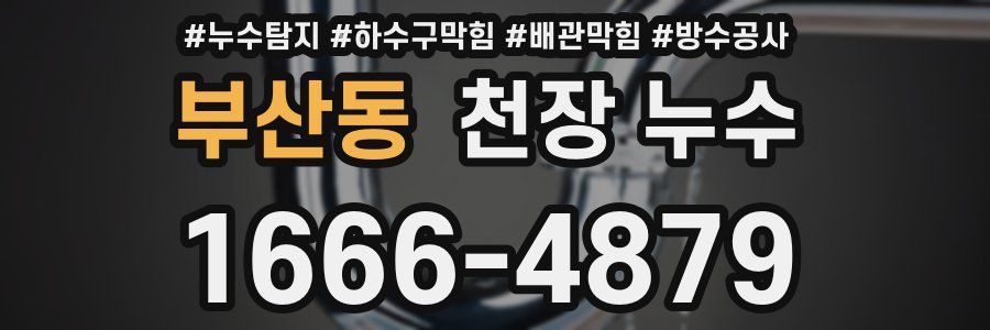 부산동 천장 누수