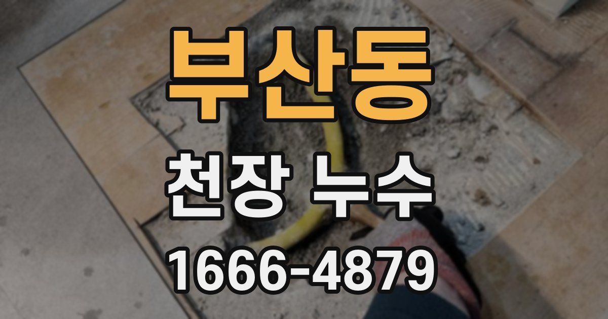 부산동 천장 누수