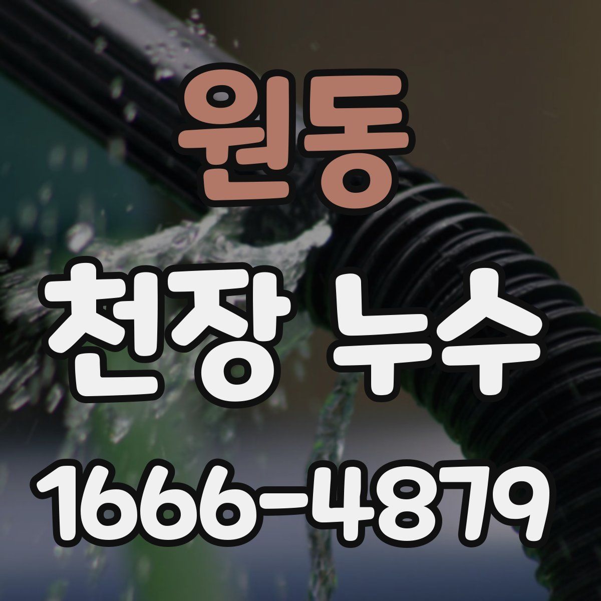 원동 천장 누수