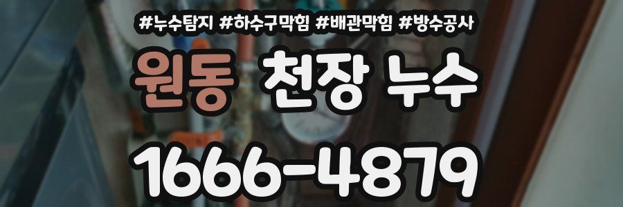 원동 천장 누수