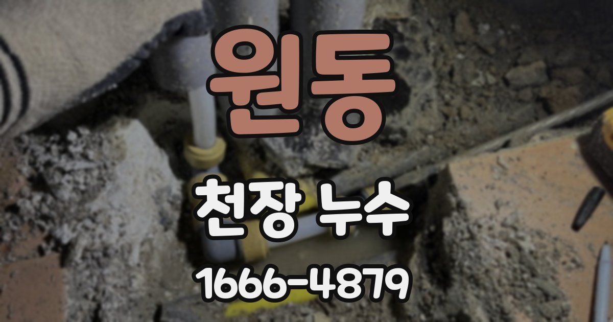 원동 천장 누수
