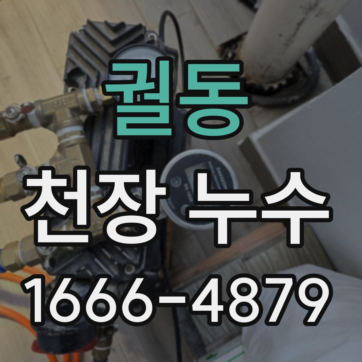 궐동 천장 누수