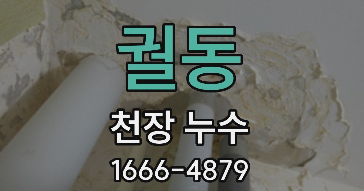 궐동 천장 누수