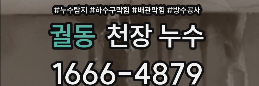 궐동 천장 누수