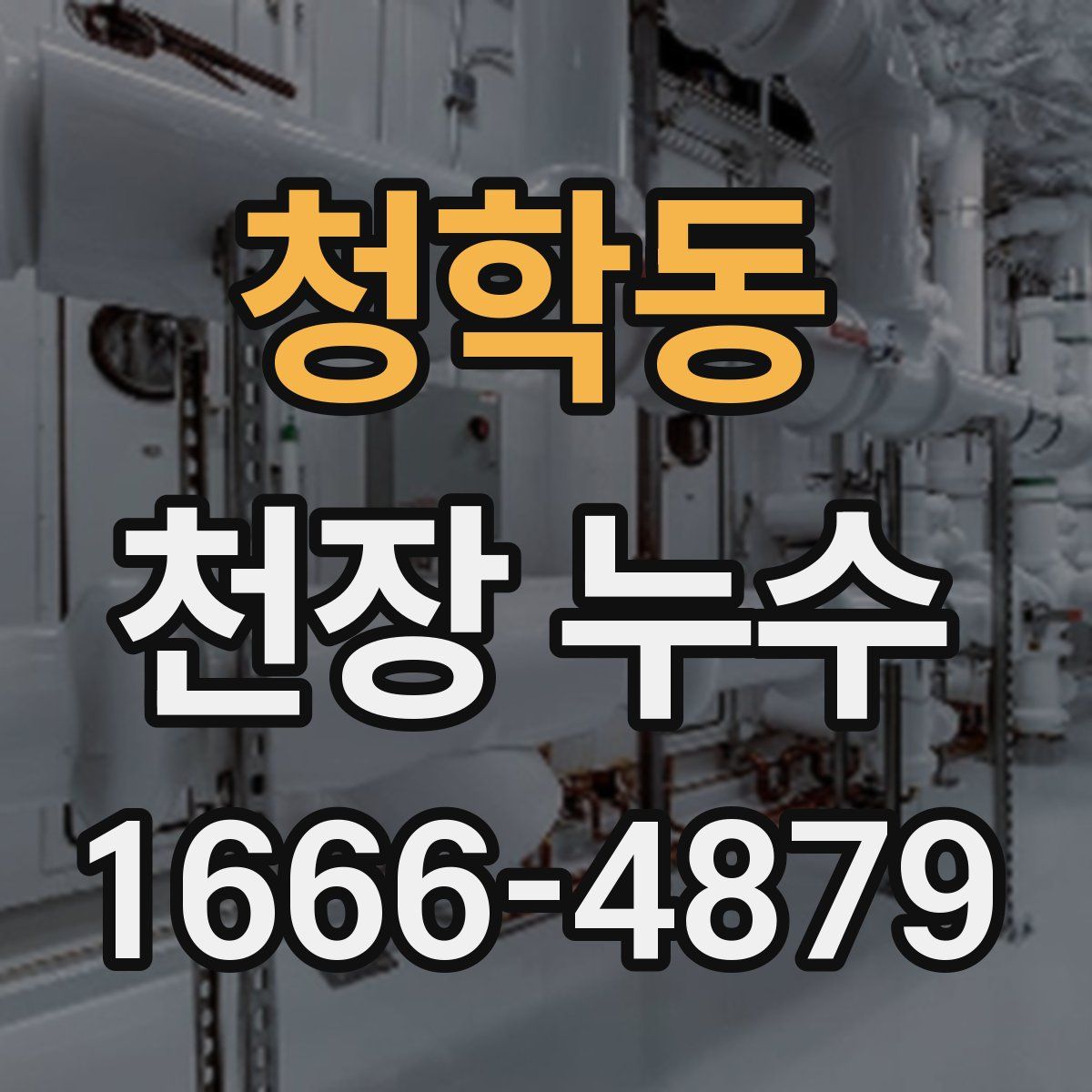 청학동 천장 누수