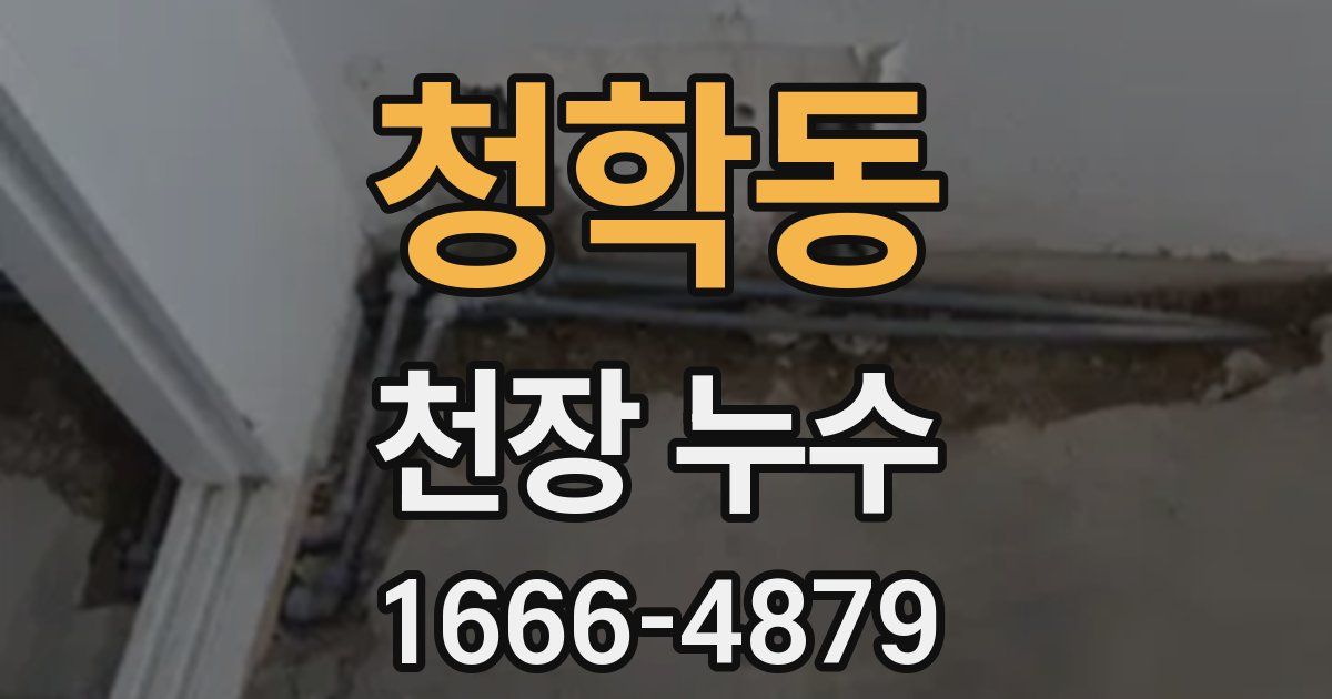 청학동 천장 누수