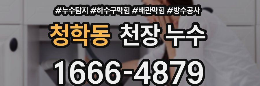 청학동 천장 누수