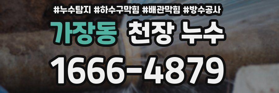 가장동 천장 누수