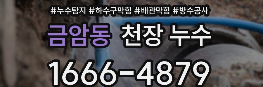 금암동 천장 누수