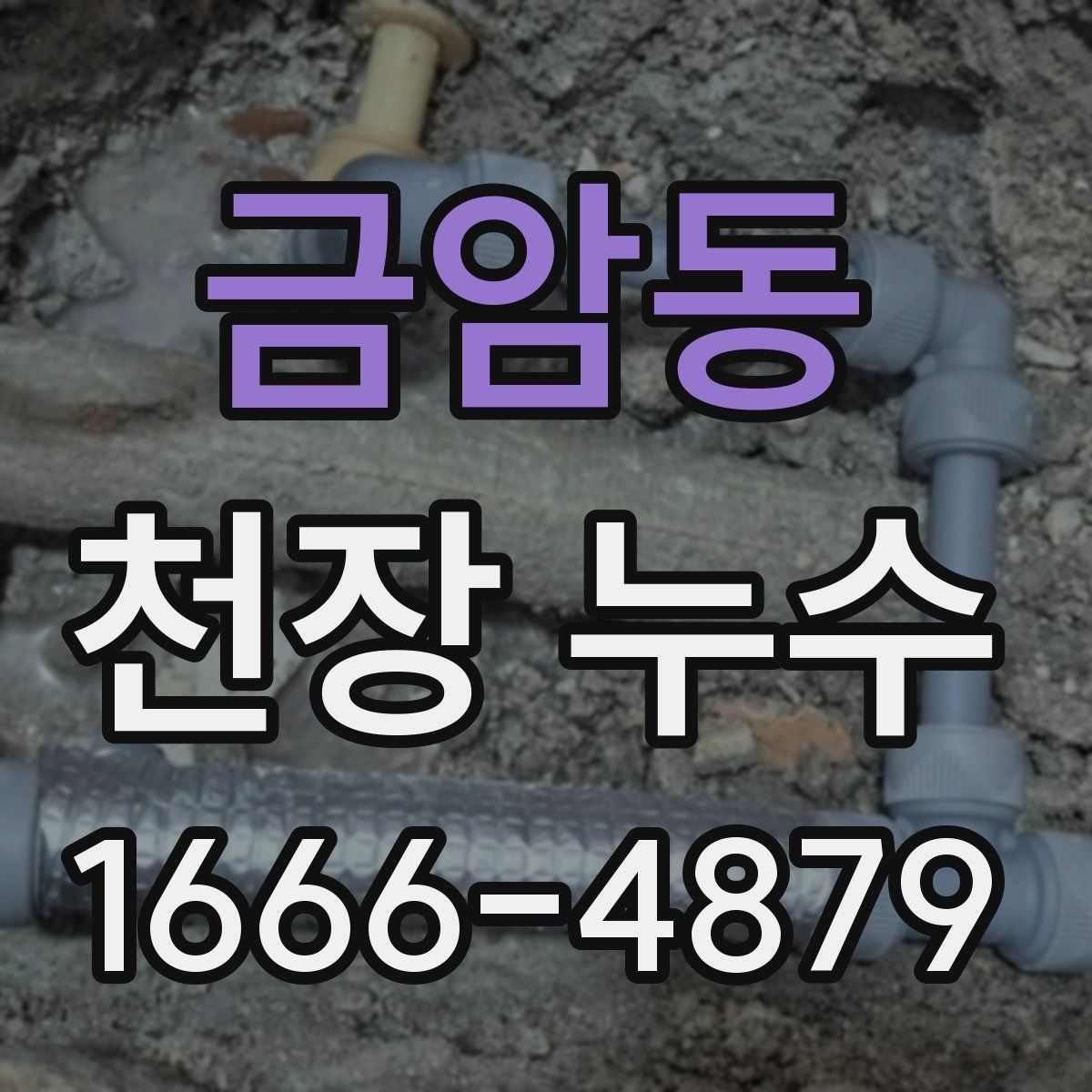 금암동 천장 누수