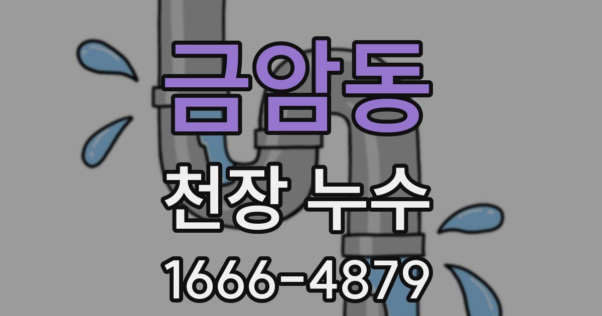 금암동 천장 누수