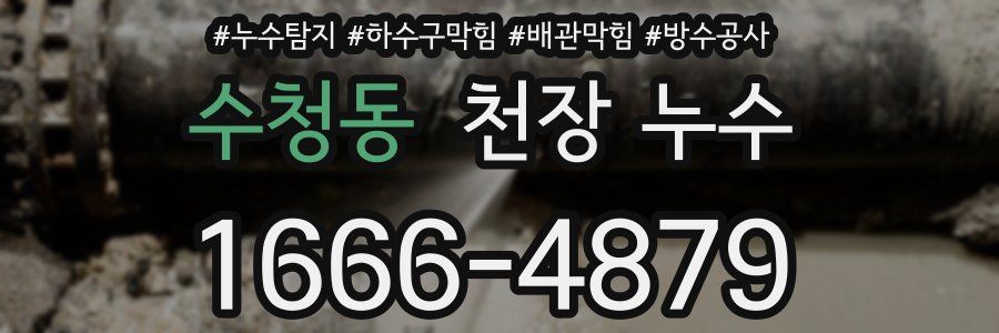 수청동 천장 누수