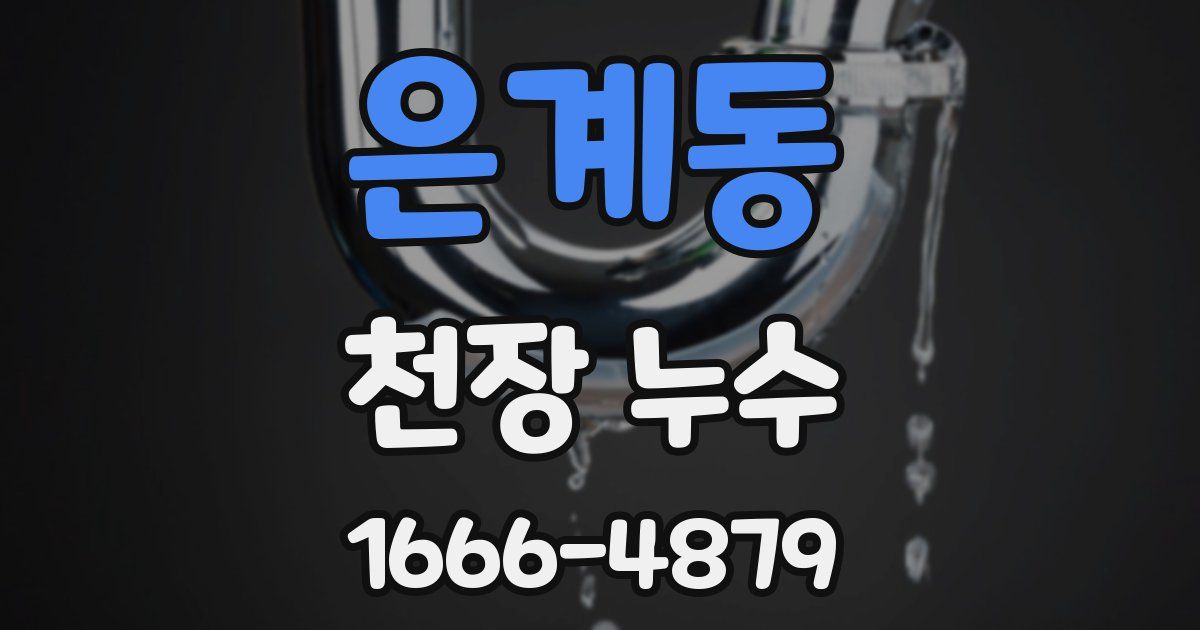 은계동 천장 누수