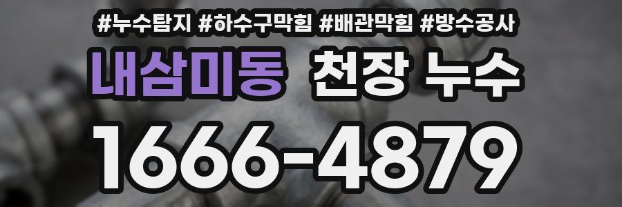 내삼미동 천장 누수