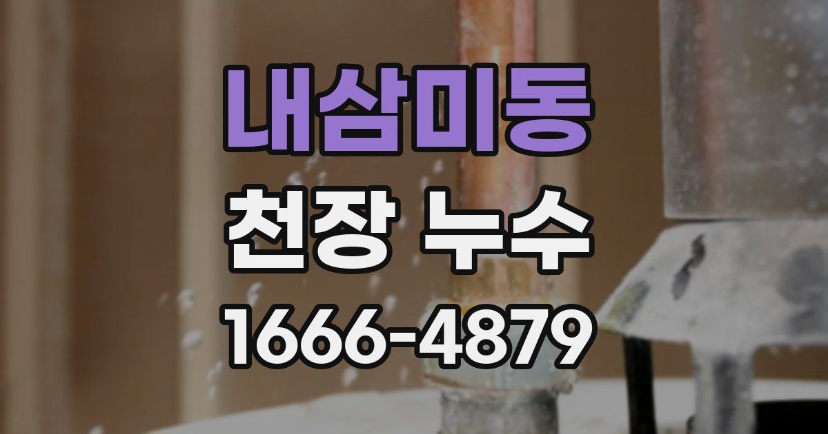 내삼미동 천장 누수