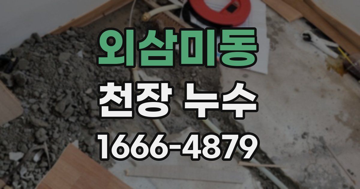 외삼미동 천장 누수