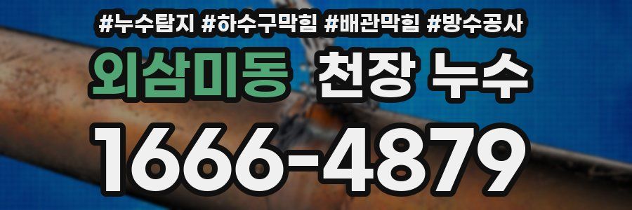 외삼미동 천장 누수