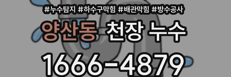 양산동 천장 누수