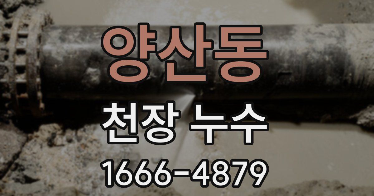 양산동 천장 누수