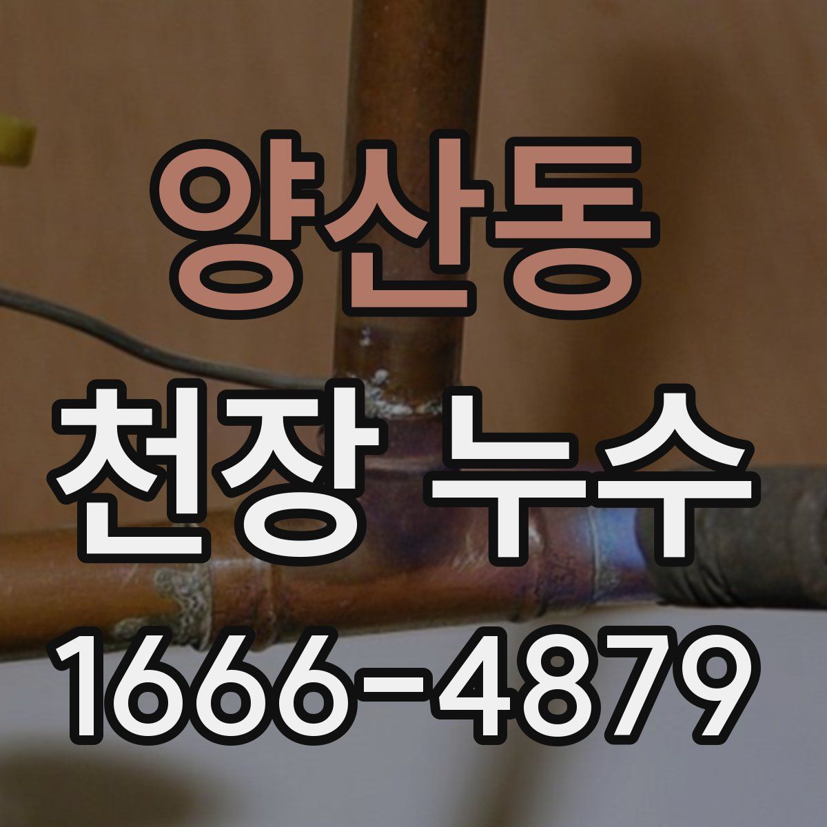 양산동 천장 누수