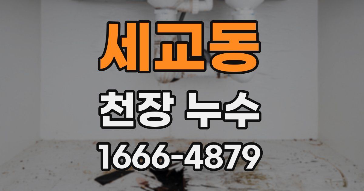 세교동 천장 누수