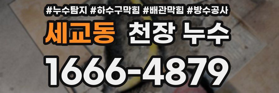 세교동 천장 누수