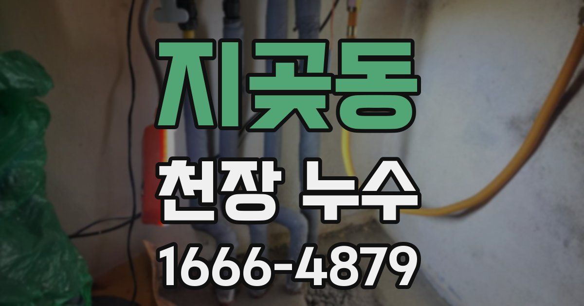 지곶동 천장 누수