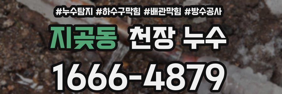 지곶동 천장 누수