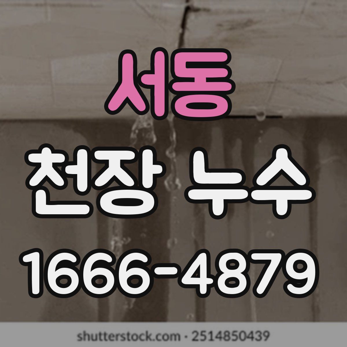 서동 천장 누수