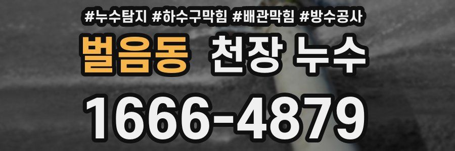 벌음동 천장 누수