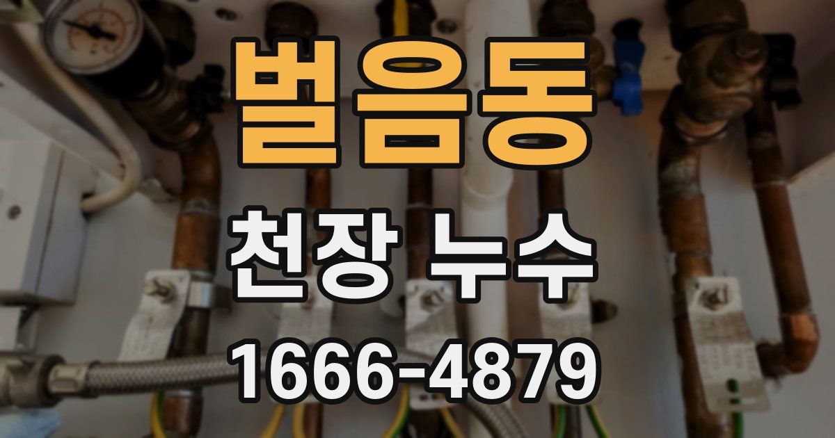 벌음동 천장 누수