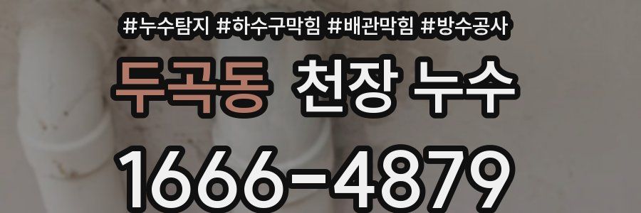 두곡동 천장 누수