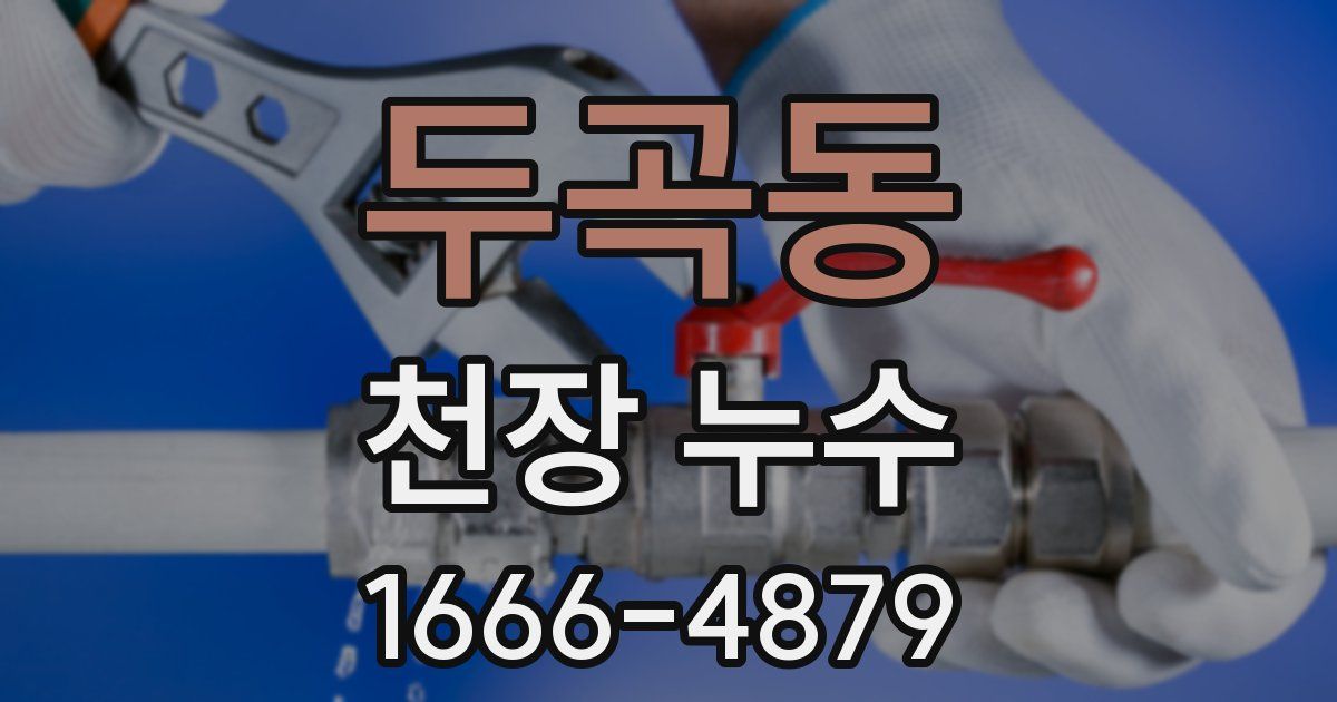 두곡동 천장 누수