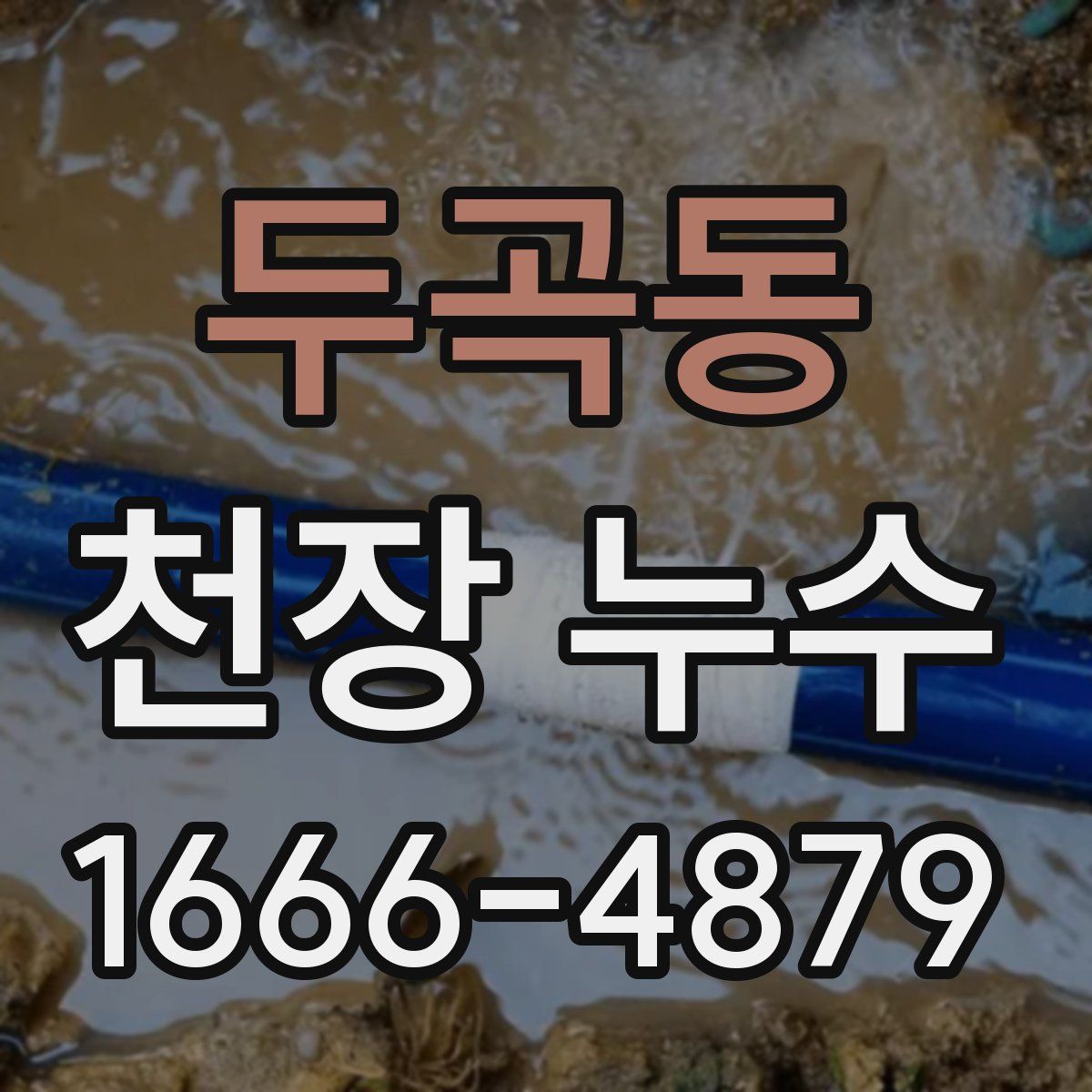 두곡동 천장 누수