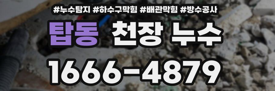 탑동 천장 누수