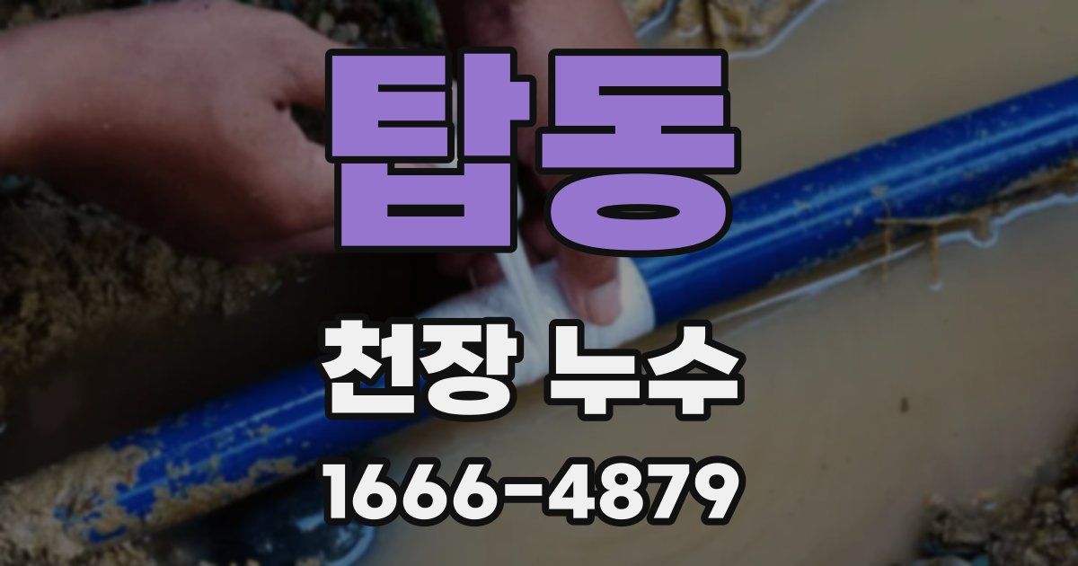 탑동 천장 누수