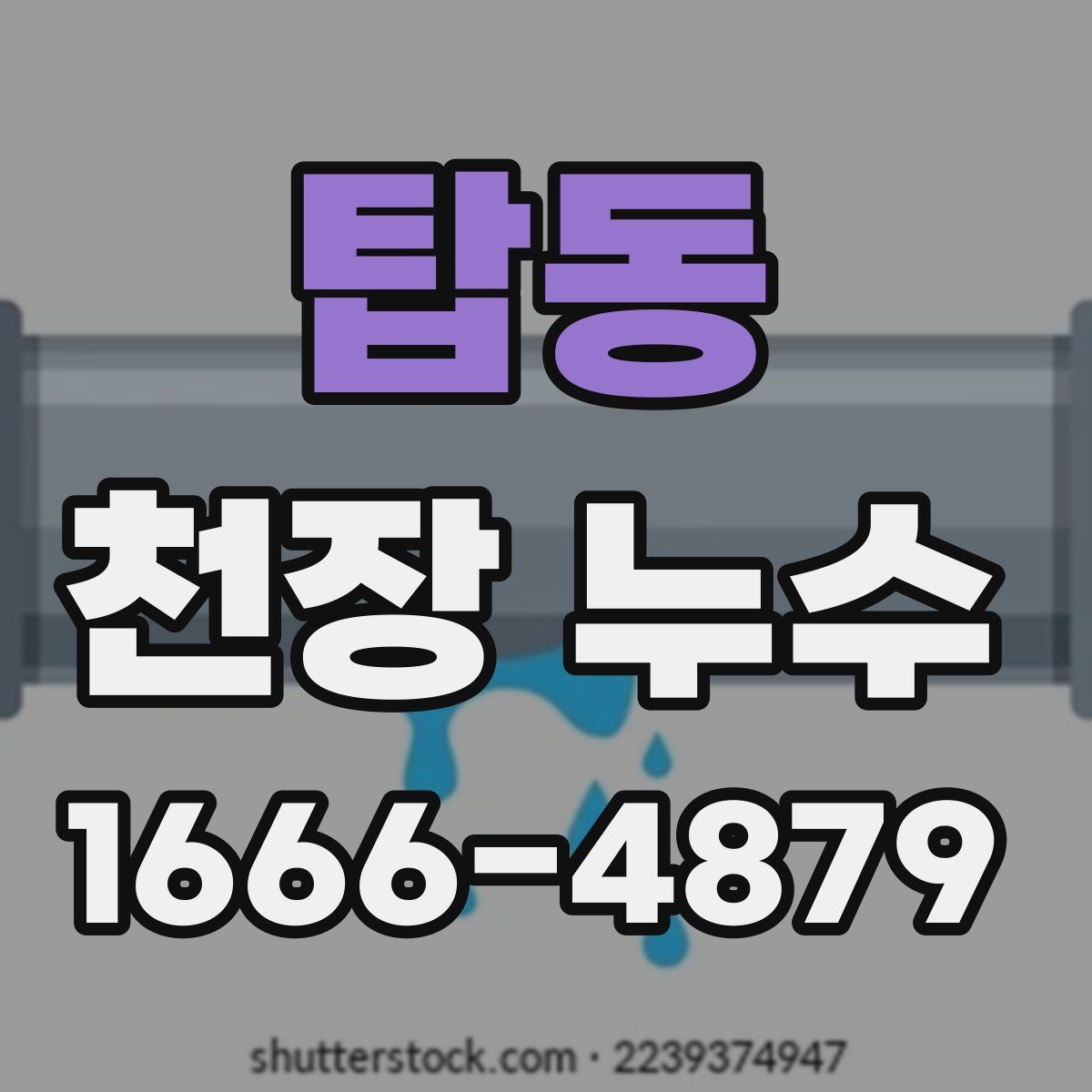 탑동 천장 누수