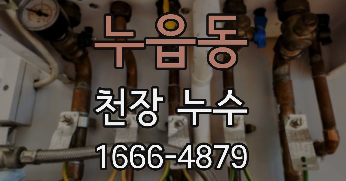 누읍동 천장 누수