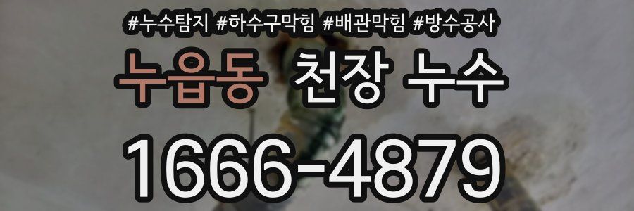 누읍동 천장 누수