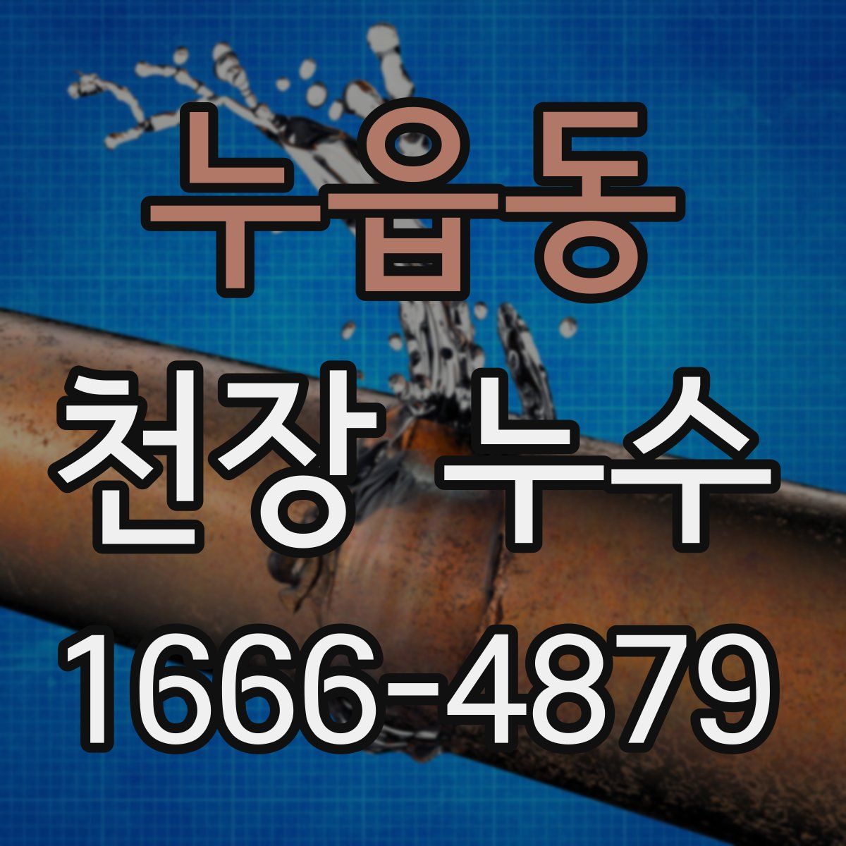 누읍동 천장 누수