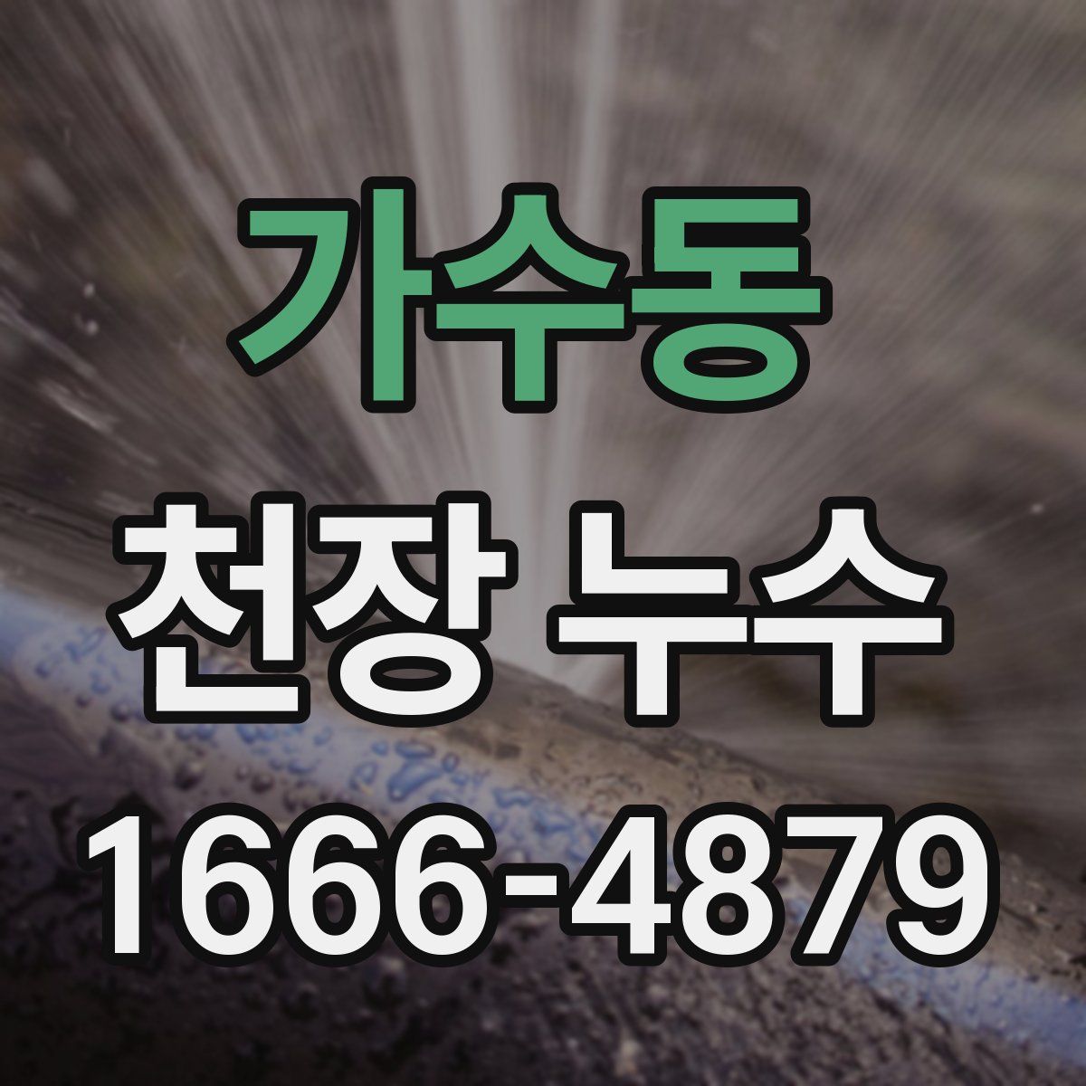 가수동 천장 누수