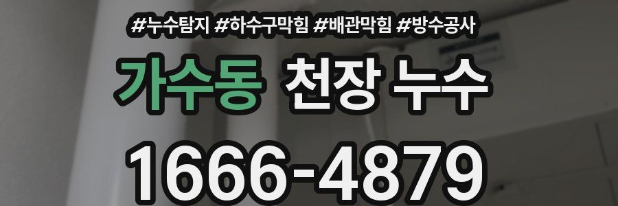 가수동 천장 누수