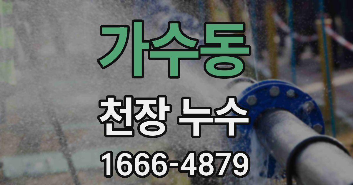 가수동 천장 누수