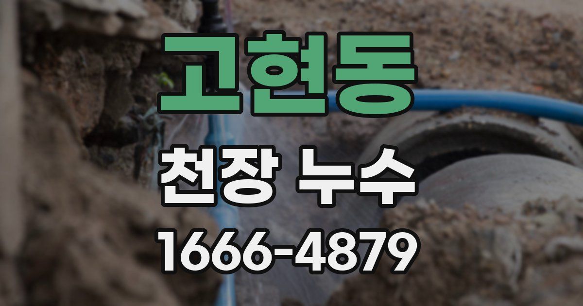 고현동 천장 누수