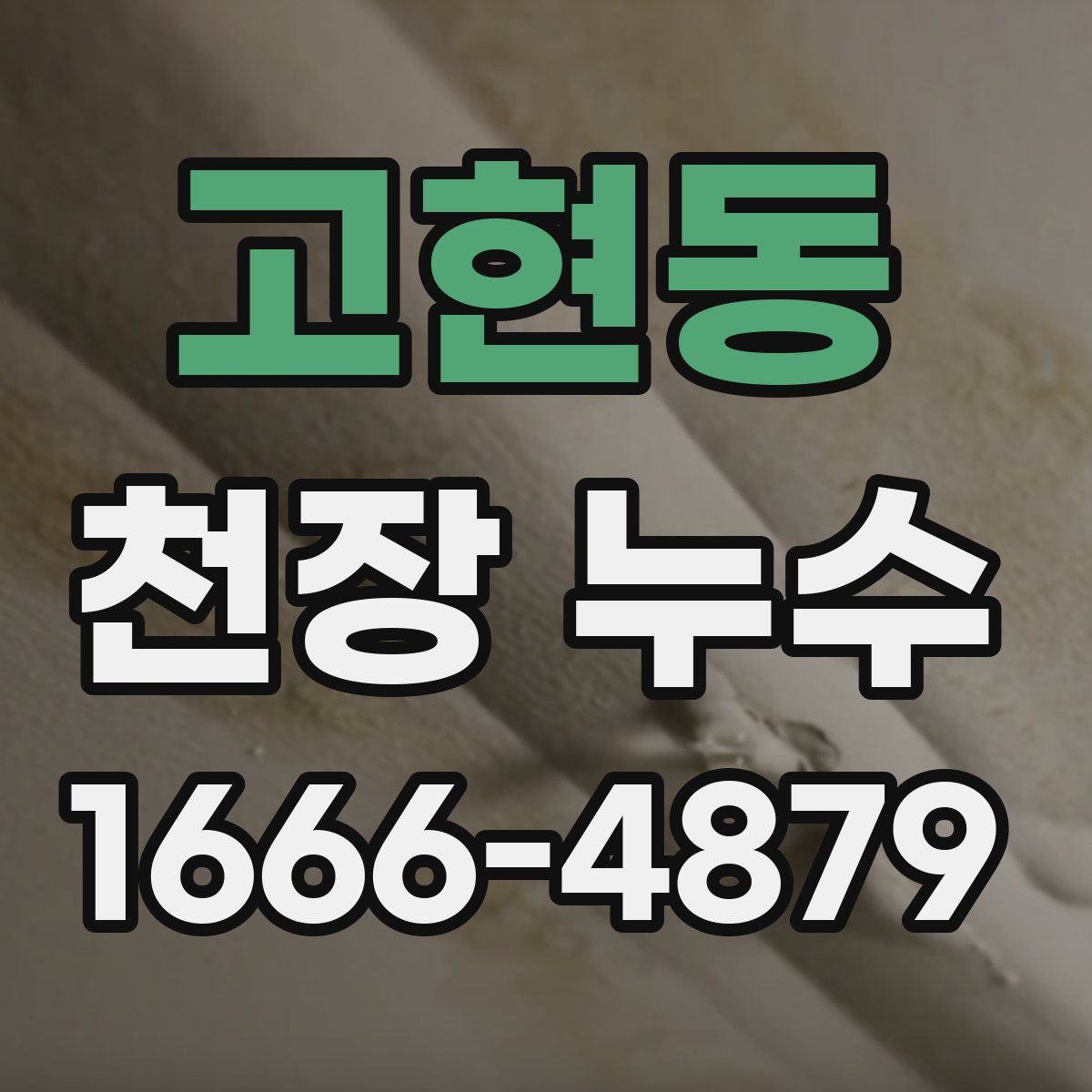고현동 천장 누수