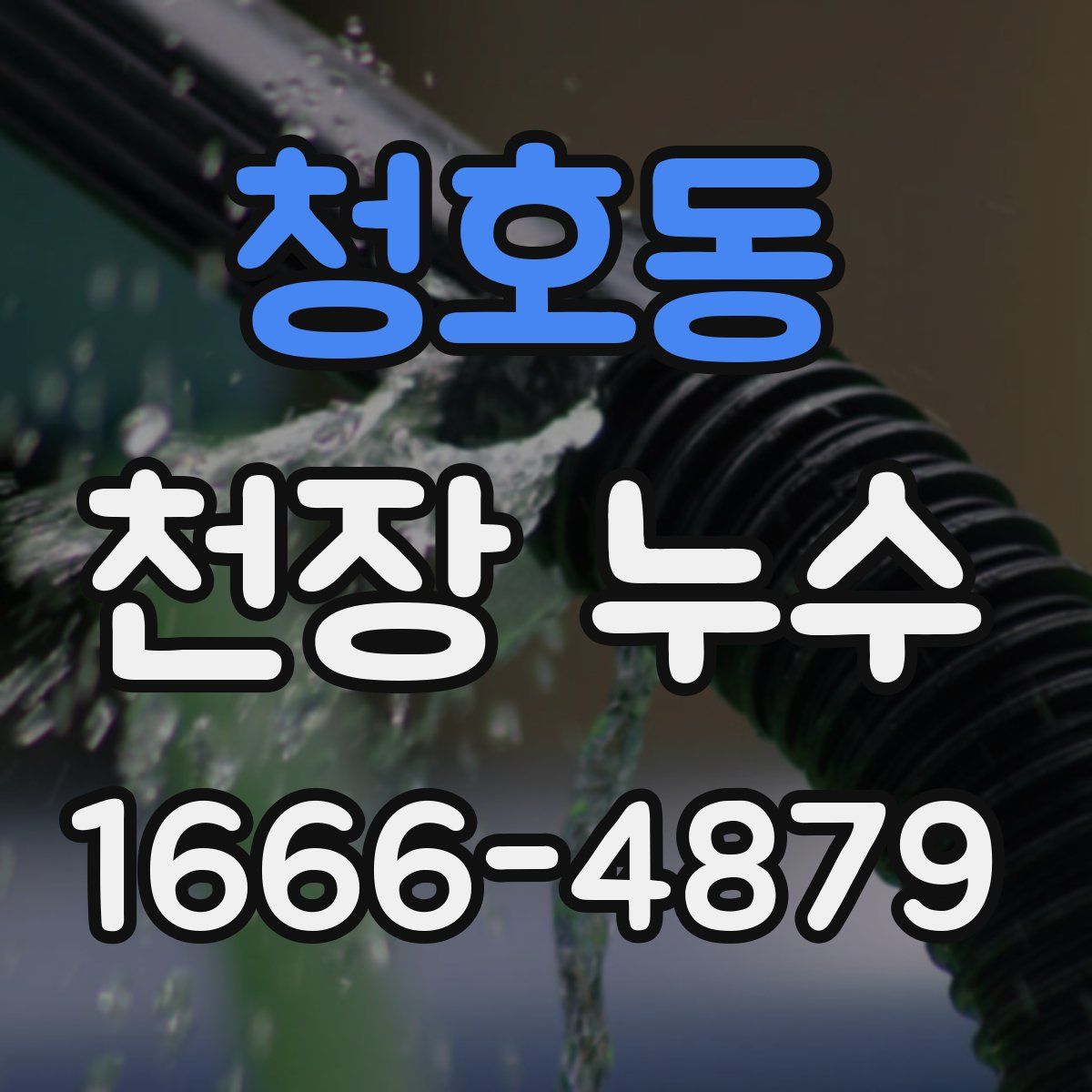 청호동 천장 누수