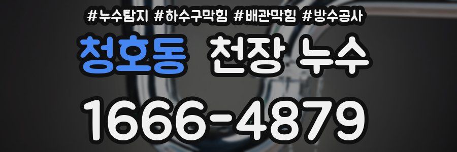 청호동 천장 누수