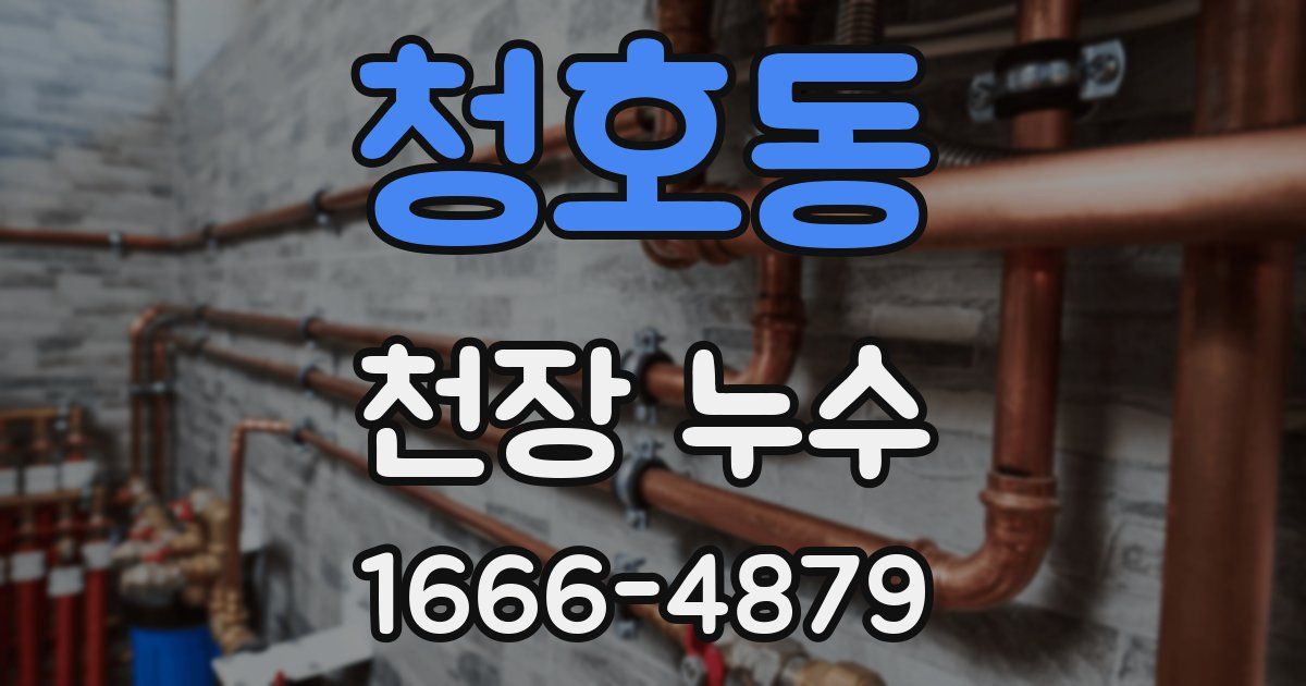 청호동 천장 누수