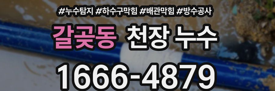 갈곶동 천장 누수